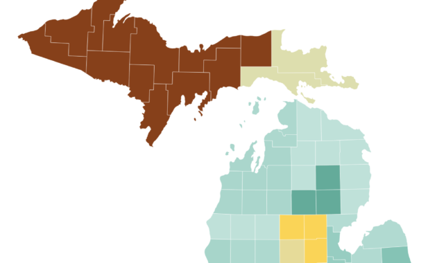 affordable health insurance plans michigan